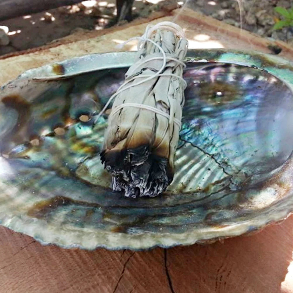 Natural White Sage Smudge Sticks – 10.5cm Bundle for Cleansing, Protection & Energy Clearing