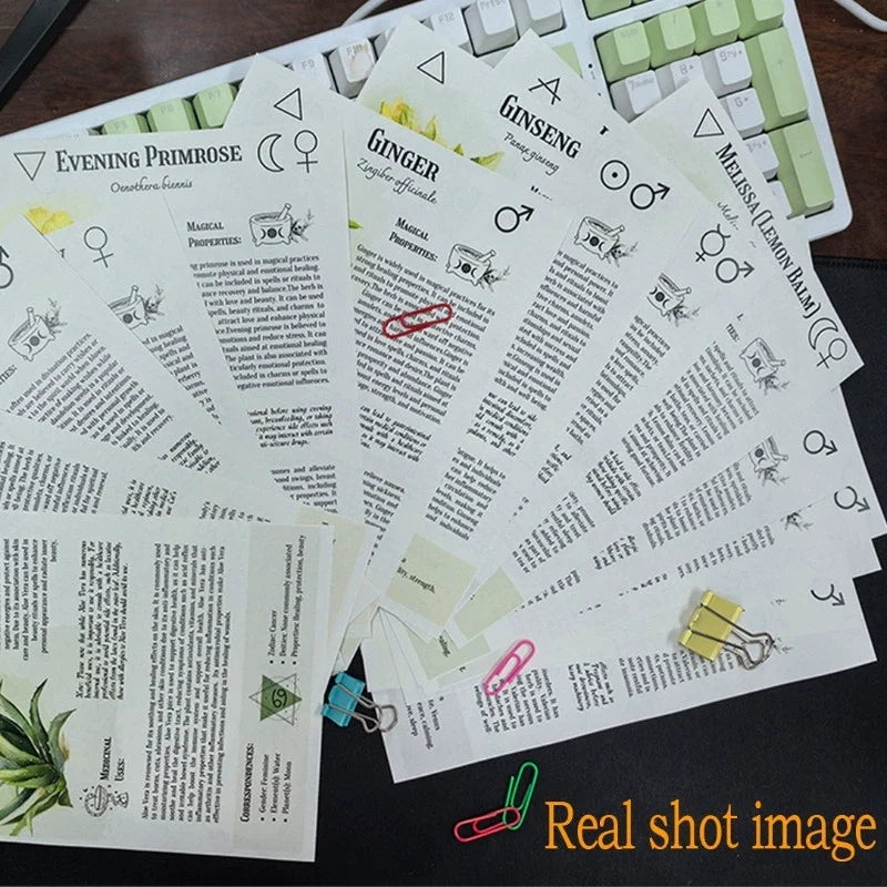Natural and Herbal Daily Wellness Book